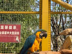 -昆明动物园