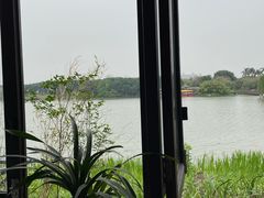 -海珠湖公园