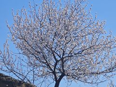 -白水寺森林公园