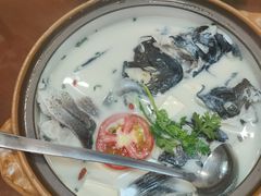 -全乐鱼馆·淳牌有机鱼直营店