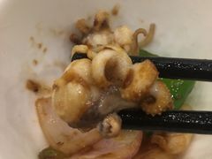 -鸿达渔港