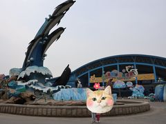 -泉城欧乐堡海洋极地世界