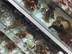 水产区-盒马鲜生(新都心店)