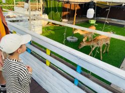 -小蜜蜂农场(凯德七宝购物广场店)