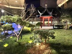 -九献创意菜·牛排馆(亮马河花园店)