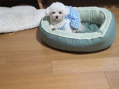 -瑞派雷欧宠物医院·24h夜诊·心脏骨科牙科·全科重症转诊中心(无影山店)