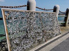 -三亚西岛海洋文化旅游区