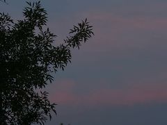 -青岛金沙滩