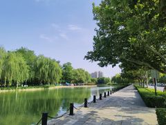 -泰丰公园