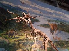 -自贡恐龙博物馆