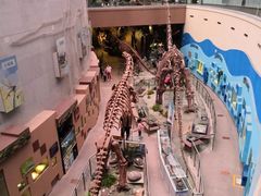 -陕西自然博物馆