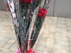 -海底捞火锅(金山百联店)