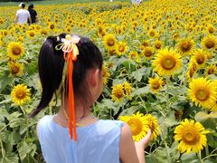 -苏州湾体育公园