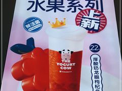 -一只酸奶牛(八一路店)