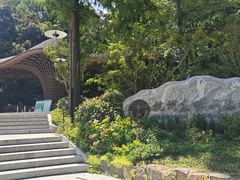 -东明山森林公园