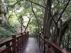 -乌山风景区