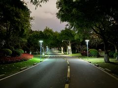 -五缘湾湿地公园