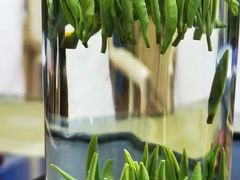 -阳光慧所茶馆