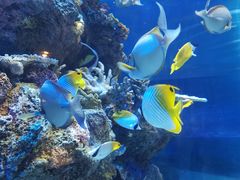 -成都浩海立方海洋公园