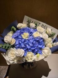 -圣贝拉母婴护理中心(深圳莱佛士店)