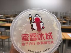 -蜜雪冰城(宝龙广场店)