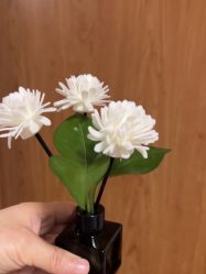 -Dr.林醫生产后修复·配方产康(南京江宁万达店)