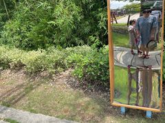 -金山农民画村-枫泾波兰倒置屋
