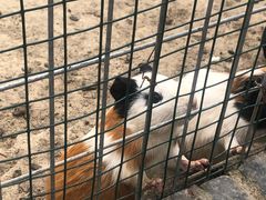 -嬉乐湾休闲旅游区