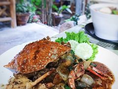 -Jungle Kitchen