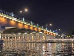 -苏州古运河游船(新市桥码头)
