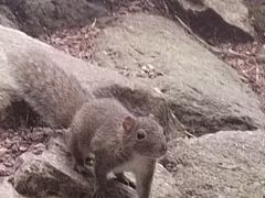 -黄山白云宾馆