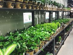 -鹿岛会员店 (龙湖三千集天街店)