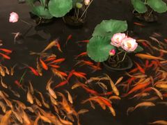 -千岛湖鱼味馆(十字街总店)