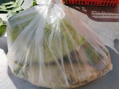 -大自然农场蔬菜草莓采摘园