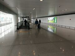 环境-杭州萧山国际机场