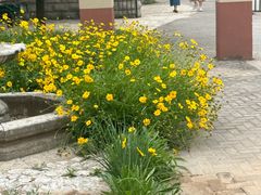 -石家庄市植物园