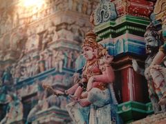 -北京王府井希尔顿酒店·万斯阁西餐厅