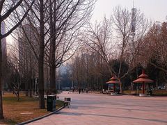 -西清公园