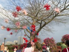 -东莞植物园