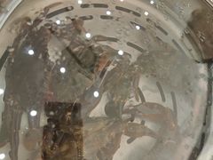 -必点蒸汽海鲜(止锚湾店)