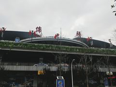 -绵阳南郊机场