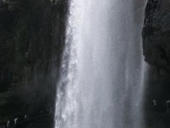 -刘伯温故里景区百丈漈