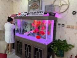 -安院长·产后恢复·徒手骨盆(先天下店)