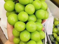 阳光玫瑰青提-盒马鲜生(杨高南路店)