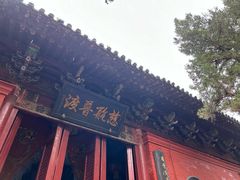 -洛阳白马寺