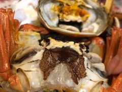 -黄记大闸蟹专卖店·活蟹·醉蟹