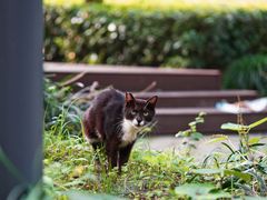 -苏州河梦清园环保主题公园