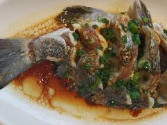 -金海湾海鲜排档(朱家尖店)