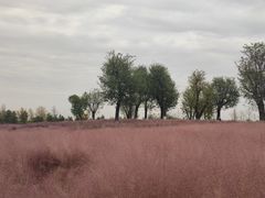 -汉长安城未央宫国家考古遗址公园