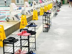 -重庆市奥林匹克体育中心-游泳跳水馆